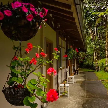 Hotel Termales San Vicente Santa Rosa de Cabal Exterior photo
